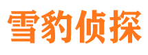 东安市调查取证